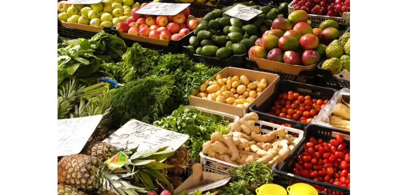 Ürün Satış & Servis